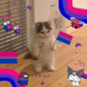 Meet your Posher, Lucyana